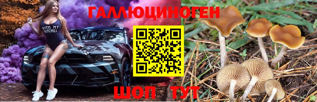 Галлюциногенные грибы GOLDEN TEACHER Назарово