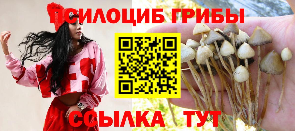 Назарово  Псилоцибиновые грибы Psilocybine cubensis  Вход с VPN 